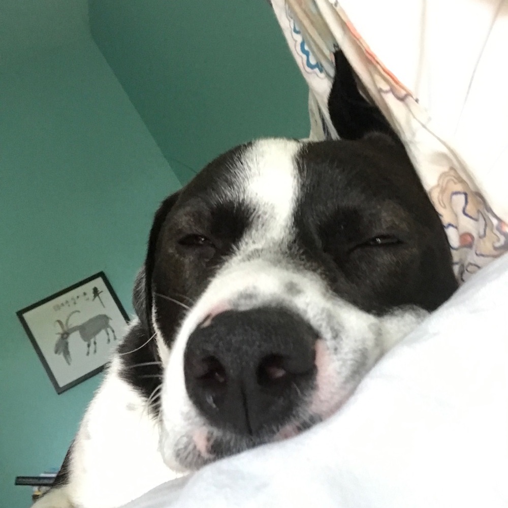 Meet your Posher, Morgan